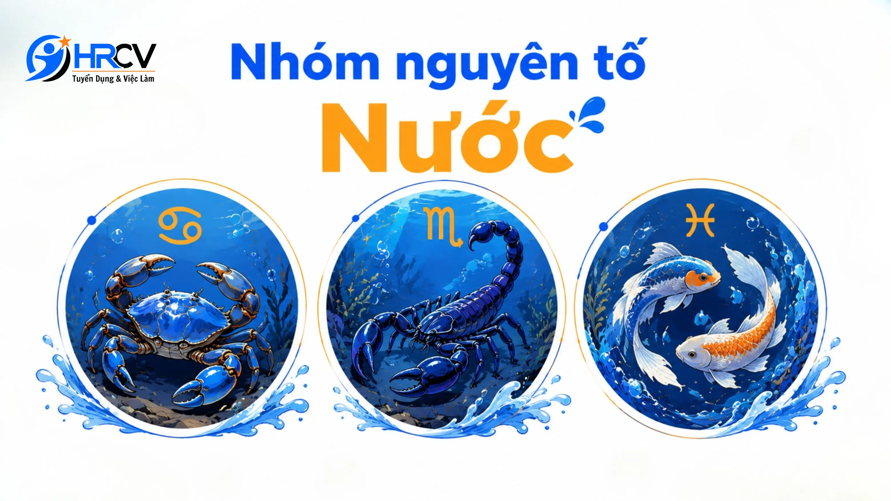 Nhóm nguyên tố Nước