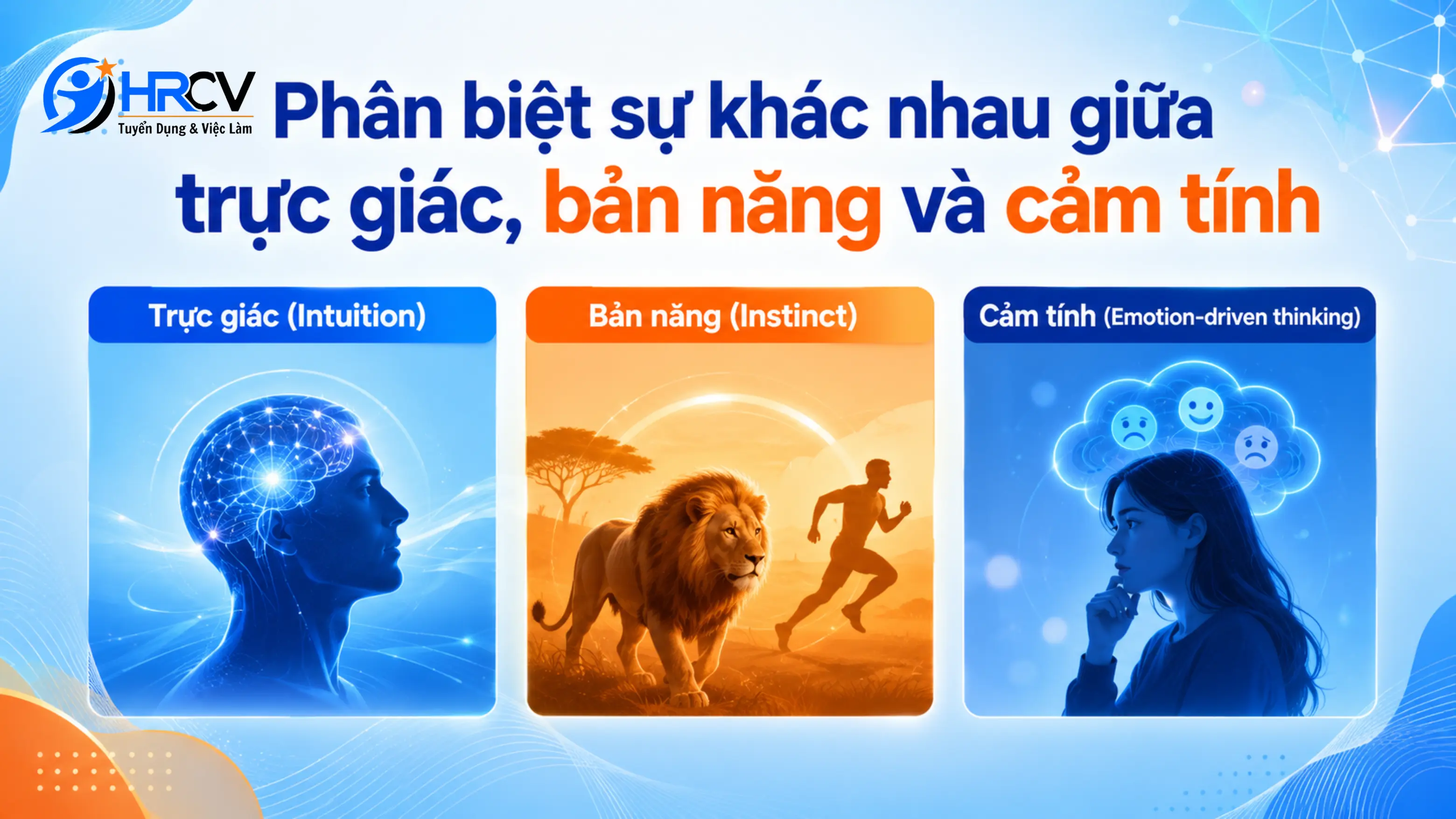 Trực giác