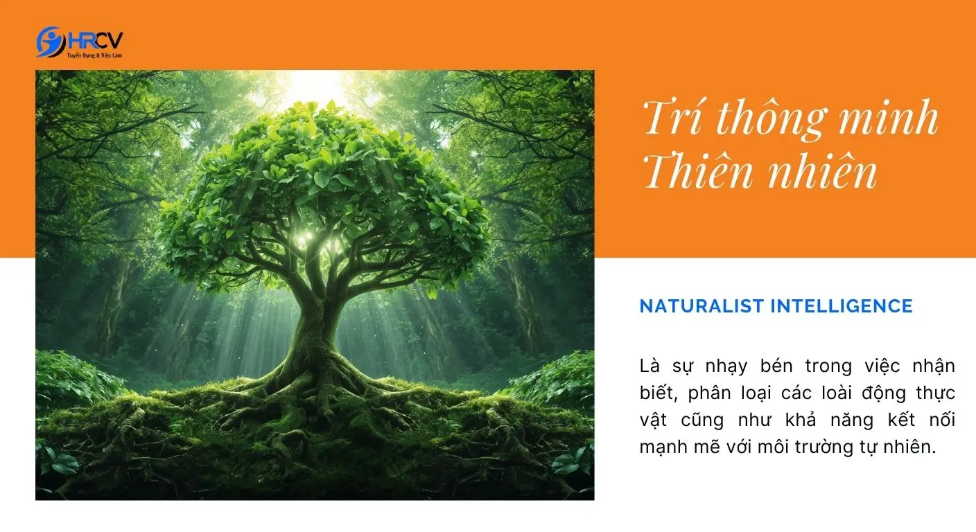 Hình ảnh minh họa Trí thông minh Thiên nhiên