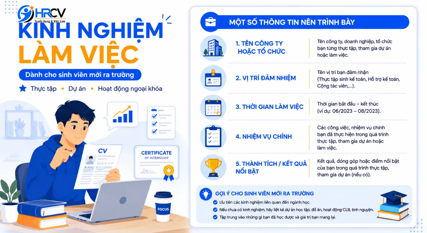 Sinh Viên Mới Ra Trường Vẫn Có Thể Viết Kinh Nghiệm