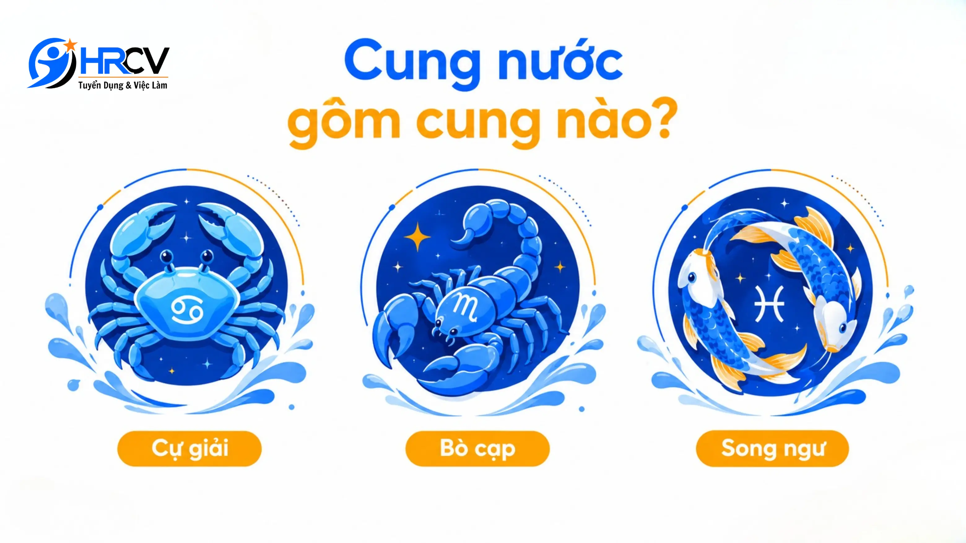 Cung nước gồm cung nào